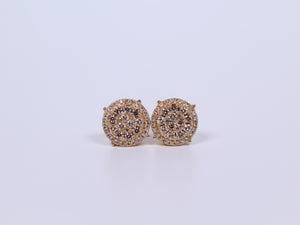 10K Yellow Gold Round Earrings .850Ctw